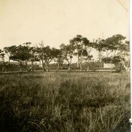 Buildings, Munna Point, Noosaville, ca 1930s