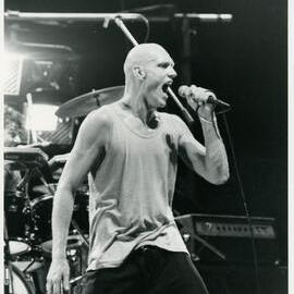 Midnight Oil, Noosa Aussie Hop '83, Picnic Racetrack, Cooroy, 23 April 1983