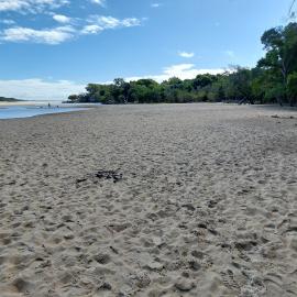 Doggy Beach, Noosa Heads, 28 June 2025