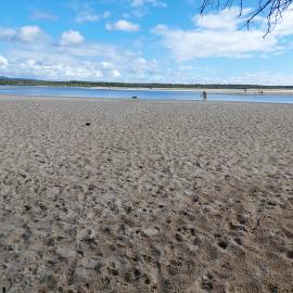 Doggy Beach, Noosa Heads, 28 June 2025