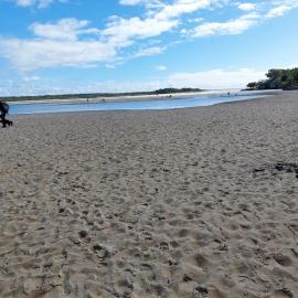 Doggy Beach, Noosa Heads, 28 June 2025