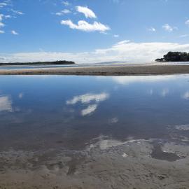 Doggy Beach, Noosa Heads, 28 June 2025