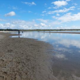 Doggy Beach, Noosa Heads, 28 June 2025