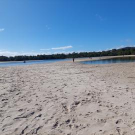 Doggy Beach, Noosa Heads, 28 June 2025