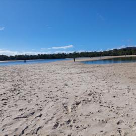 Doggy Beach, Noosa Heads, 28 June 2025