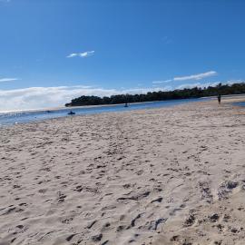 Doggy Beach, Noosa Heads, 28 June 2025