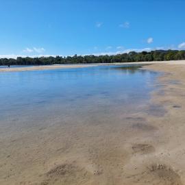 Doggy Beach, Noosa Heads, 28 June 2025