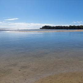 Doggy Beach, Noosa Heads, 28 June 2025