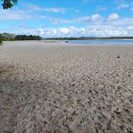 Doggy Beach, Noosa Heads, 28 June 2025
