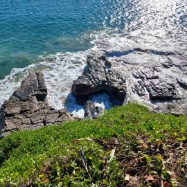 Boiling Pot, Coastal Walk, Noosa National Park, Noosa Heads, 1 July 2025