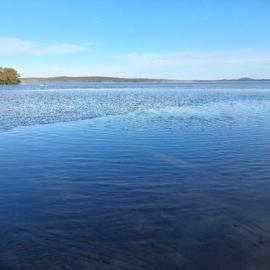 Canoeing, Lake Weyba, Lake Weyba Drive, Noosaville, 14 ‎June ‎2025