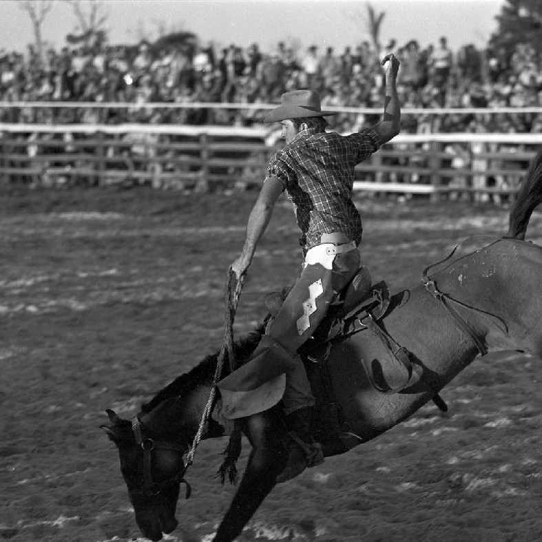 Noosa Rodeo
