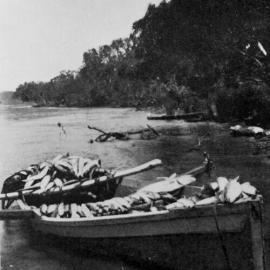 Fishing, Lake Weyba, Noosaville