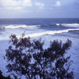 Big waves, Noosa National Park, Sunshine Beach, ca 1980s