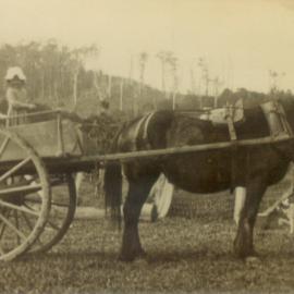 Cream transportation, Middle Creek, ca 1920s