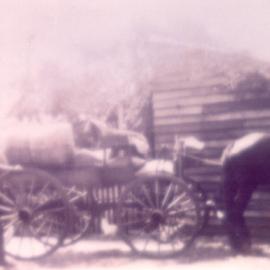 Grocery delivery, 'Bellwood', Cootharaba, ca 1930s