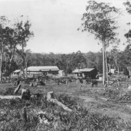Early settlement, Maple Street, Cooroy, Easter 1910