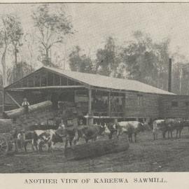 Sawmill, Kareewa, ca 1911