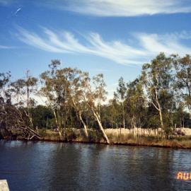 Land clearing, Noosa River, 2 August 1995