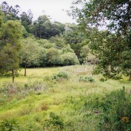 Cleared land, Laguna Lookout, Noosa Heads, 28 November 1999