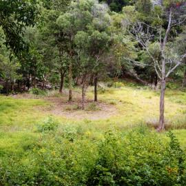 Cleared land, near Laguna Lookout, Noosa Heads, 28 November 1999