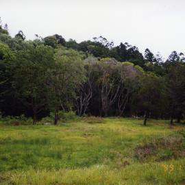 Cleared land, near Laguna Lookout, Noosa Heads, 28 November 1999