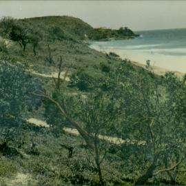 Beach scene, Sunshine Beach