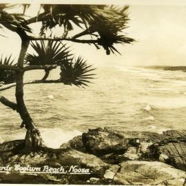 Beach scene, Noosa National Park, Noosa Heads