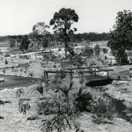 Noosa Botanic Gardens first year, Lake Macdonald, August 1990 
