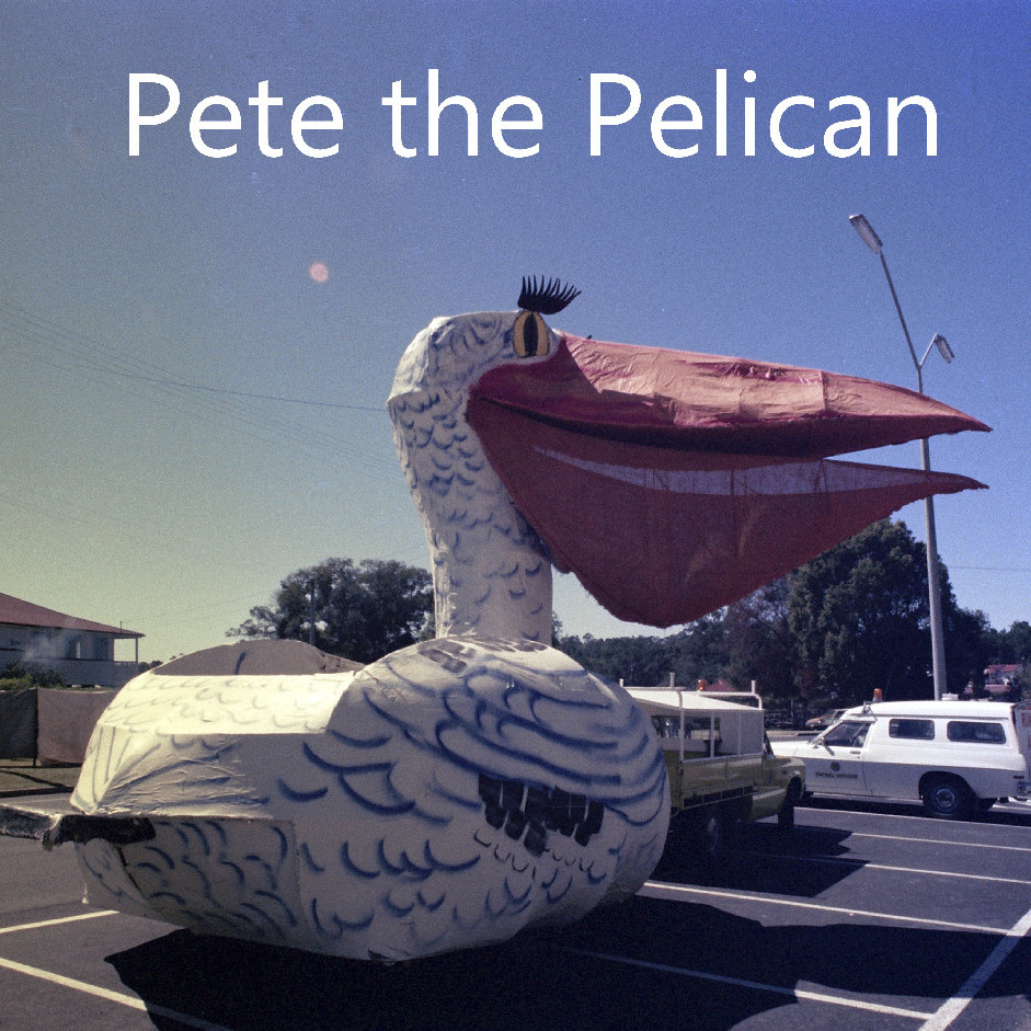 Pete the Pelican