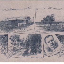 Christmas & New Years Greeting card, 1891-92