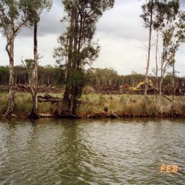 Land clearing, Noosa River, 9 February 1995