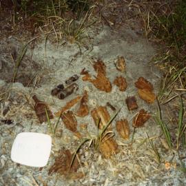Unexploded ordinance, Sunrise Beach, 10 July 1991