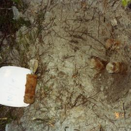 Unexploded ordinance, Sunrise Beach, 10 July 1991