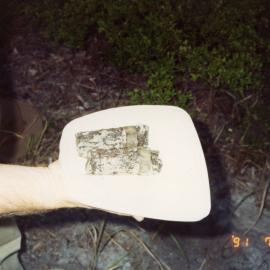 Unexploded ordinance, Sunrise Beach, 10 July 1991