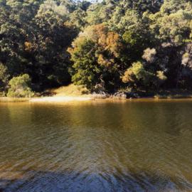 4WD tree covered sand dune track, 30 October 1989