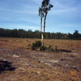 Cleared land for development, 31 January 1997