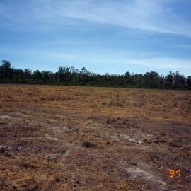 Cleared land for development, 31 January 1997