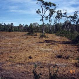 Cleared land for development, 31 January 1997