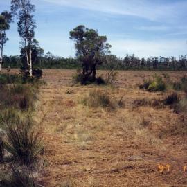 Cleared land for development, 31 January 1997