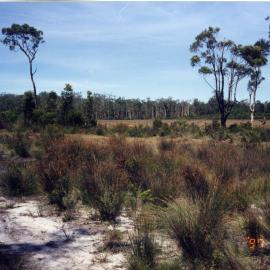 Cleared land for development, 31 January 1997