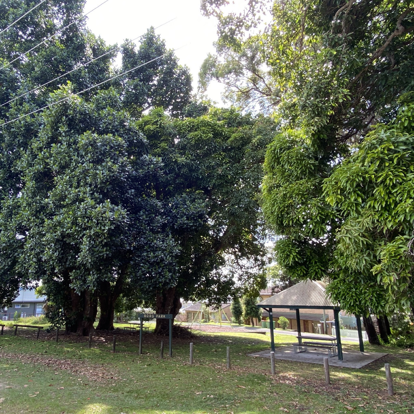 Borg Park