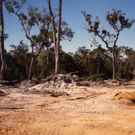 Land clearing/mining, 19 July 1990