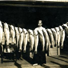 Big catch, Noosa River, 1930