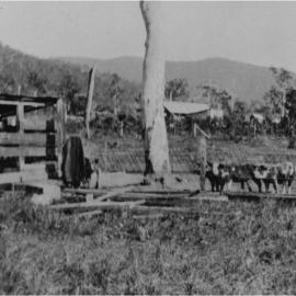 Cowbales, Armitage Family farm, Pomona