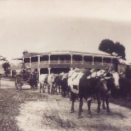 Carrier, Terry Crang, Kin Kin, March 1925