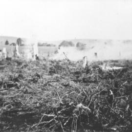 Clearing, Pinbarren Victory plot, Pinbarren School Reserve, Kin Kin Road, Pinbarren, 9 August 1941
