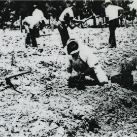 Planting day, Pinbarren Victory plot, Pinbarren School Reserve, Kin Kin Road, Pinbarren, 29 November 1941