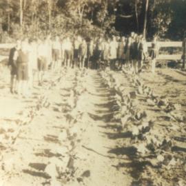Members, Pomona State School's Forestry Club, Kin Kin Road, Pinbarren, 13 July 1942