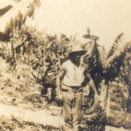 Banana farmer Fred Ledger, Ironstone Creek, Tuchekoi